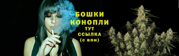 тгк Бородино