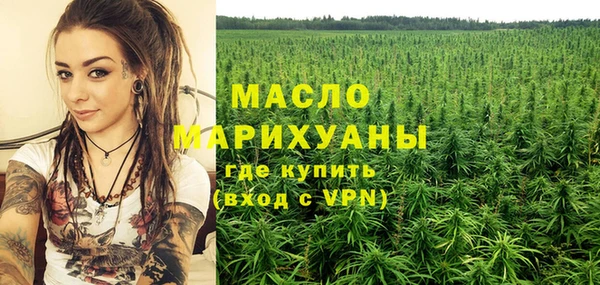 тгк Бородино